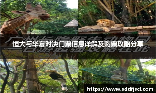 恒大与华夏对决门票信息详解及购票攻略分享